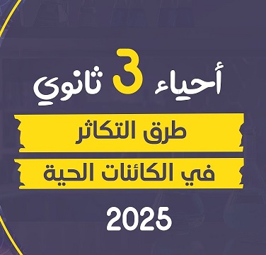 صورة الفيديو